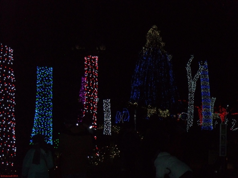 SDC13163.JPG