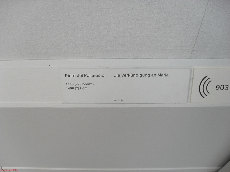 SDC13261.JPG