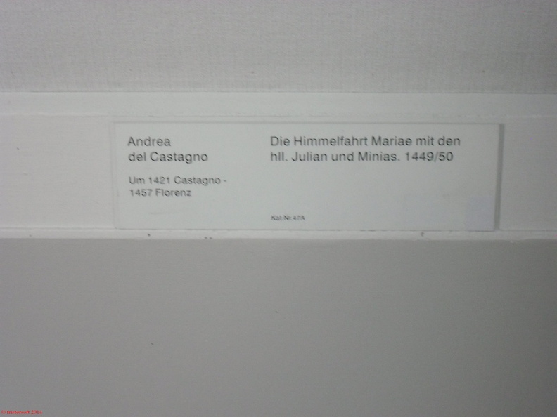 SDC13263.JPG