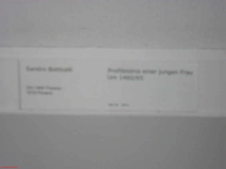 SDC13267.JPG