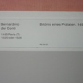 SDC13300