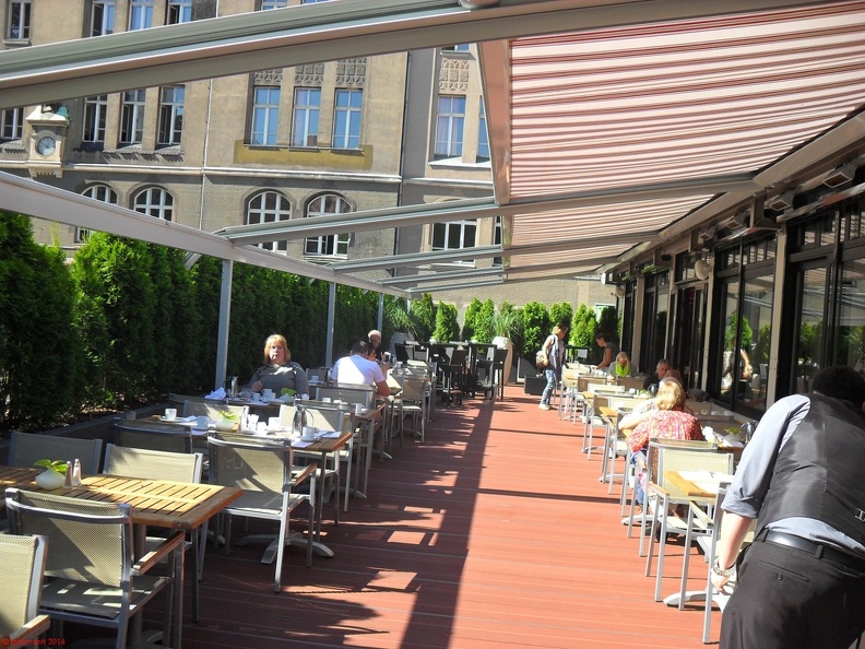 SDC13391.JPG