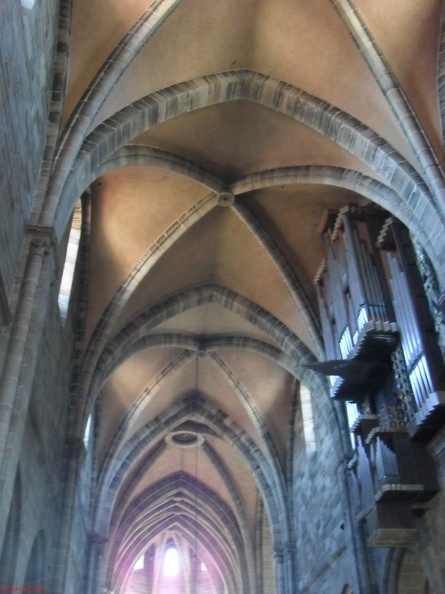 SDC13403.JPG