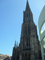 SDC13544