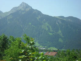 SDC13550