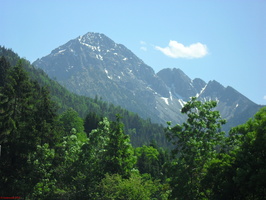 SDC13551