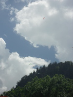 SDC13605