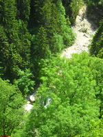 SDC13613