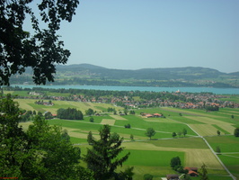 SDC13614