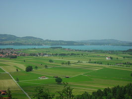SDC13616