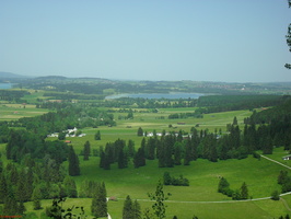 SDC13619