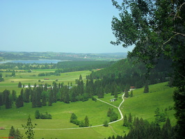 SDC13620
