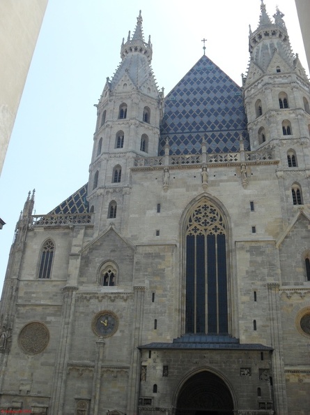 SDC13710.JPG