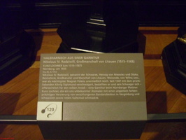 SDC13768