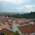 SDC13950