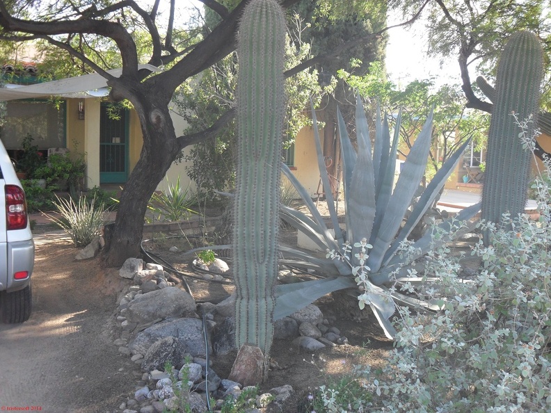 SDC14328.JPG