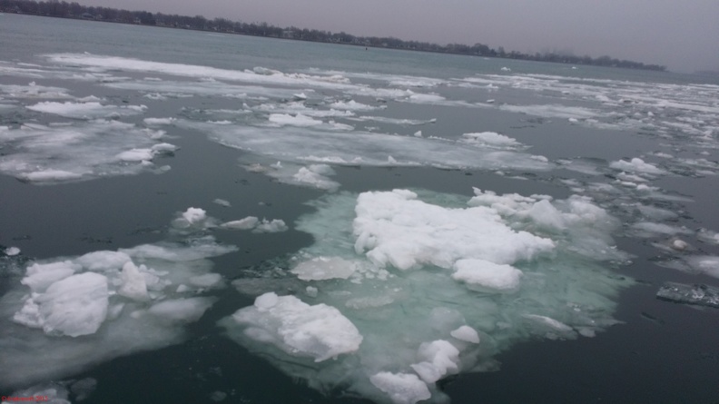 WP_20150409_001.jpg
