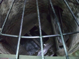 SDC15086