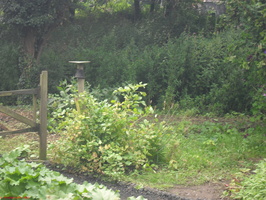 SDC15090