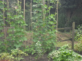 SDC15091