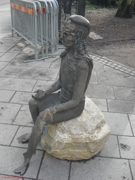 SDC15789.JPG