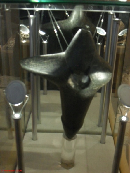 SDC15810.JPG