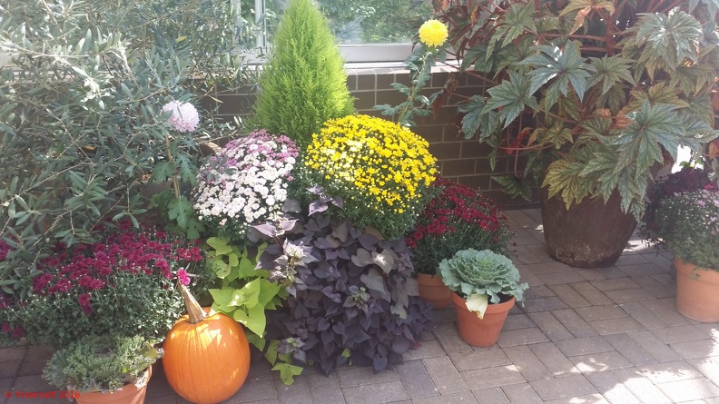 WP_20160925_024.jpg