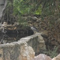 SDC16256