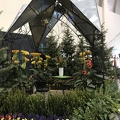 IMG 0029