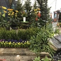 IMG 0031