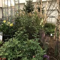 IMG 0032