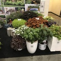 IMG 0042