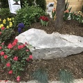 IMG 0047
