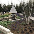 IMG 0051