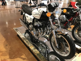 IMG 0256