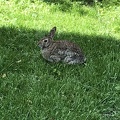 IMG 0349