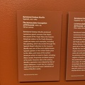 IMG 1480