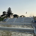 IMG 1739