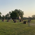 IMG 1742