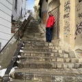IMG 4729