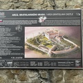 IMG 4733