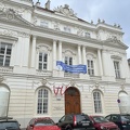 IMG 4869