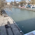 IMG 4873