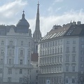 IMG 4875