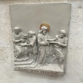 IMG 4884