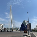 IMG 5594