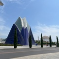 IMG 5595