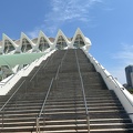 IMG 5602