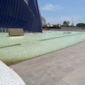 IMG 5609