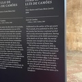 IMG 6286